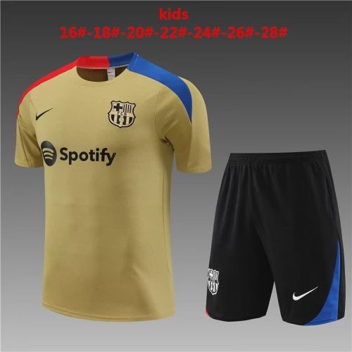 Youth Kids 2023-2024 Barcelona Gold/Red/Blue Soccer Training Jersey Shorts