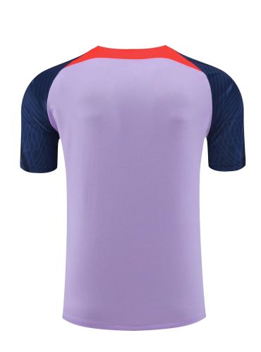 Fan Version 2023-2024 Liverpool Purple Soccer Training Jersey