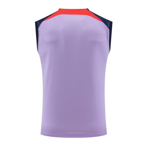 Fan Version 2023-2024 Liverpool Purple Soccer Training Vest