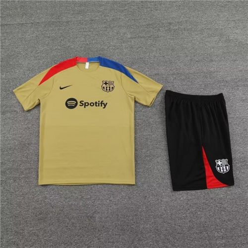 Adult Uniform 2023-2024 Barcelona Gold/Red/Blue Soccer Training Jersey and Shorts Football Kits