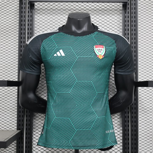 Player Version 2024 United Arab Emirates Away Green Soccer Jersey