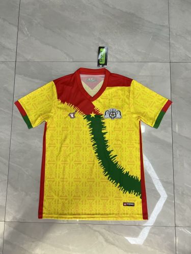 Fan Version 2024 Burkina Faso Third Away Yellow Soccer Jersey