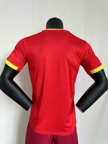 Player Version 2024 Guinea Home Soccer Jersey Guinee Football Shirt