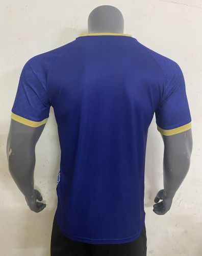 Fan Version 2024 Japan Blue Dragon Soccer Jersey Football Shirt