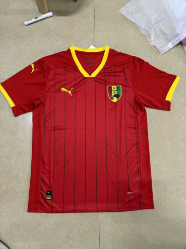 Fan Version 2024 Guinea Home Soccer Jersey Guinee Football Shirt