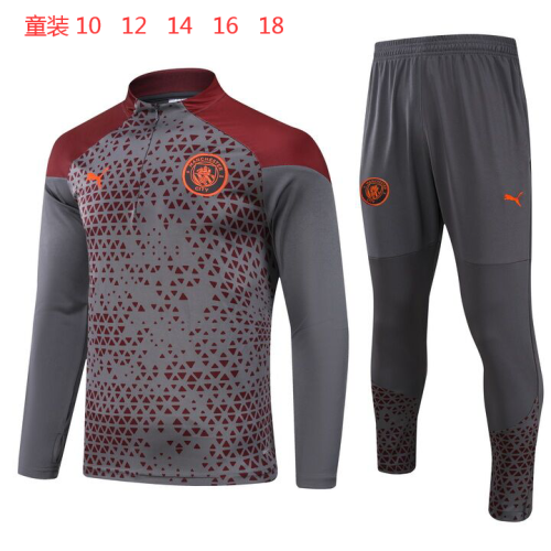 Youth 2023-2024 Manchester City Grey/Red Soccer Training Sweater and Pants