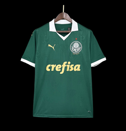 Fan Version 2024-2025 Palmeiras Home Soccer Jersey