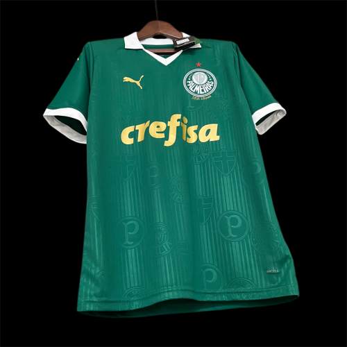 Fan Version 2024-2025 Palmeiras Home Soccer Jersey