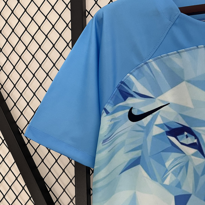 Fan Version 2024-2025 Netherlands Blue Concept Version Soccer Jersey Football Shirt
