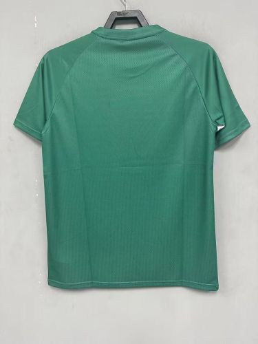 Fan Version 2024-2025 Palmeiras Green Soccer Training Jersey Football Pre-match Top