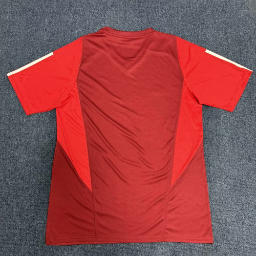 Fans Version 2024-2025 Sport Club Internacional Dark Red Soccer Training Jersey