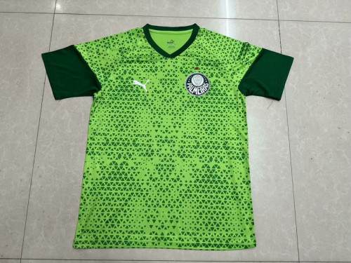 Fan Version 2024-2025 Palmeiras Away Green Soccer Jersey Football Shirt