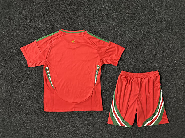 Youth Uniform Kids Kit Wales 2024 Home Soccer Jersey Shorts Child Football Set
