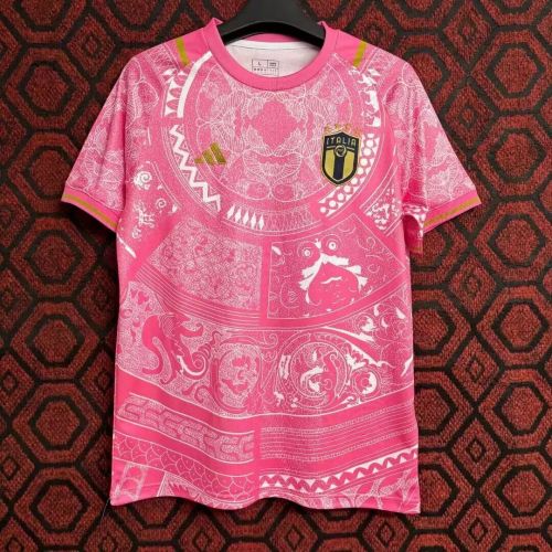 Fan Version Italy 2024 Souvenir Pink Soccer Jersey Football Shirt