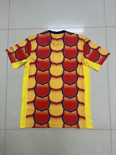 Fan Version 2024 Barcelona Orange/Yellow Special Edition Soccer Jersey