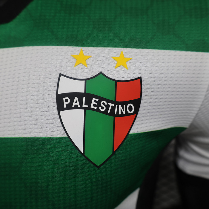 Player Version 2024-2025 Club Deportivo Palestino Third Away Soccer Jersey