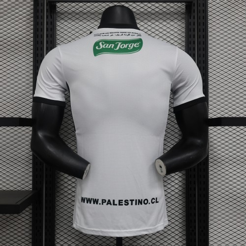 Player Version 2024-2025 Club Deportivo Palestino Third Away Soccer Jersey