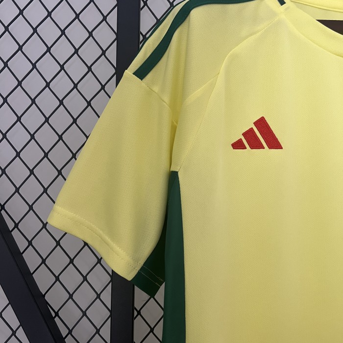 Fan Version Wales 2024 Away Soccer Jersey Yellow Football Shirt