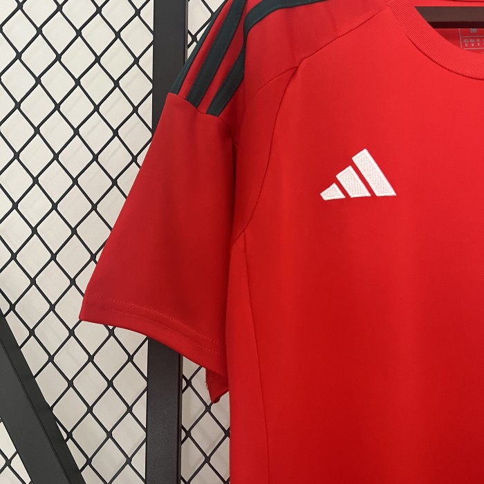 Fan Version Wales 2024 Home Soccer Jersey Football Shirt