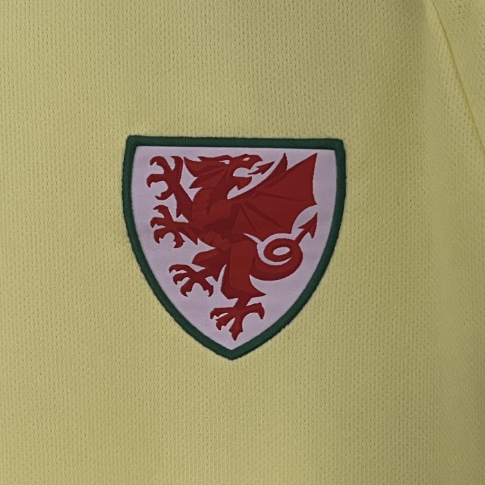 Fan Version Wales 2024 Away Soccer Jersey Yellow Football Shirt