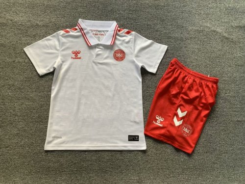 Youth Uniform Kids Kit Denmark 2024 Away Soccer Jersey Shorts Child Football Set