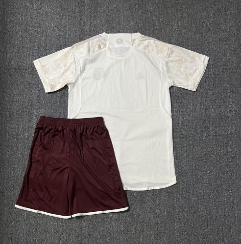 Adult Uniform 2023-2024 Bayern Munich Third Away Soccer Jersey Shorts Football Kit