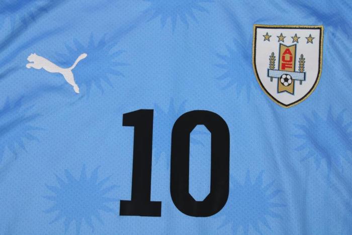 with 2010 World Cup Patch Retro Jersey 2010 Uruguay FORLAN 10 Home Soccer Jersey Vintage Football Shirt
