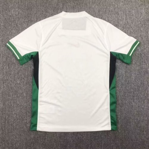 Fan Version 2024 Nigeria White Soccer Jersey Football Shirt