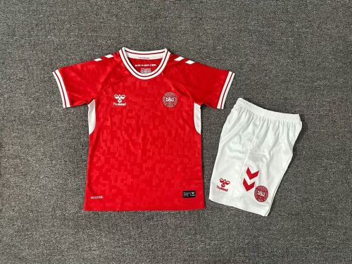 Youth Uniform Kids Kit Denmark 2024 Home Soccer Jersey Shorts Child Football Set