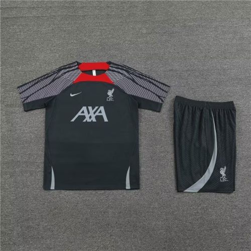 Adult Uniform 2024 Liverpool Grey Soccer Training Jersey and Shorts Football Kits