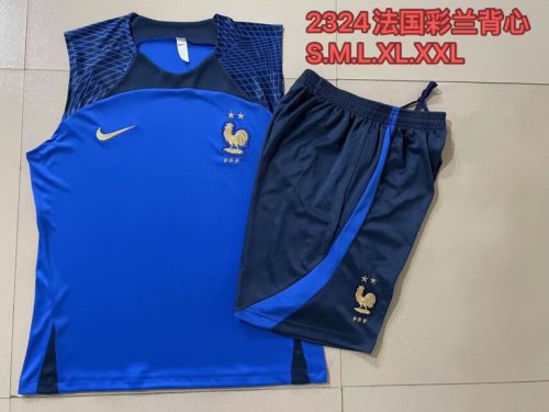 Adult Uniform 2024 France Blue Soccer Training Vest and Shorts
