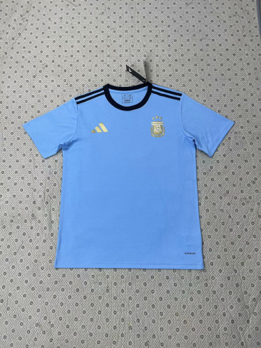 Fan Version Argentina 2024 Blue Soccer T-shirt