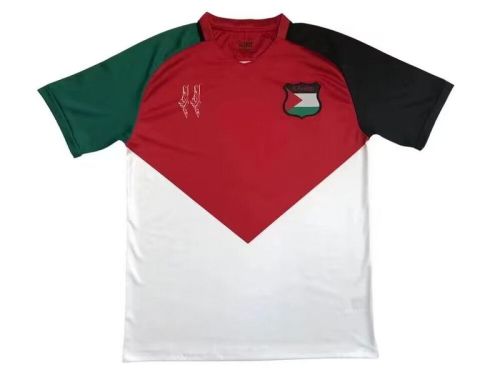 Fan Version 2024 Palestine White/Red Soccer Jersey Football Shirt