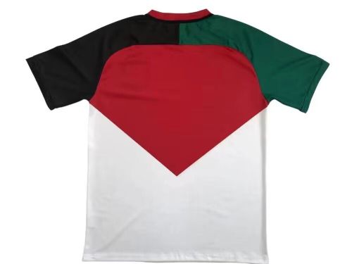 Fan Version 2024 Palestine White/Red Soccer Jersey Football Shirt