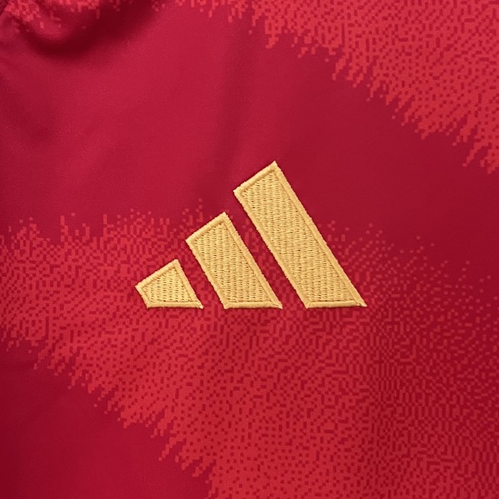 Fan Version Spain 2024 Home Soccer Jersey España Camisetas de Futbol