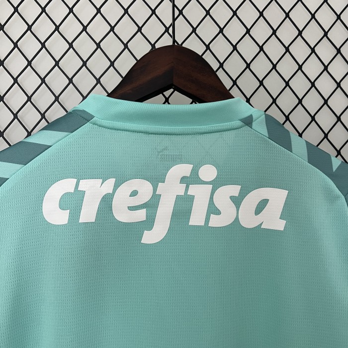 Fan Version 2024-2025 Palmeiras Green Goalkeeper Soccer Jersey Football Shirt