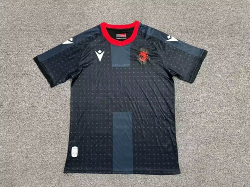 Fan Version Georgia 2024 Third Away Soccer Jersey Football Shirt