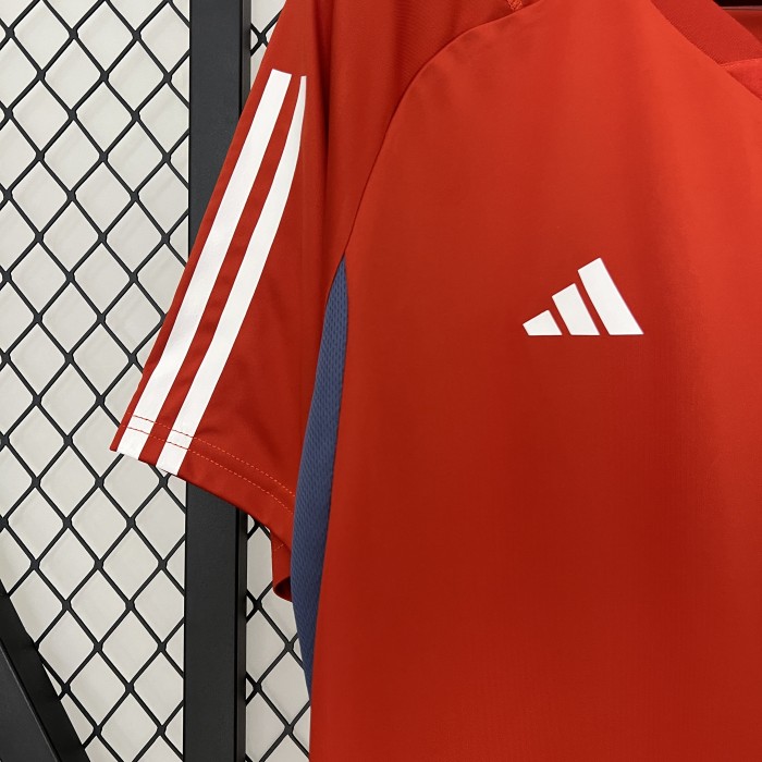 with All Sponor Logos 2024-2025 Cruzeiro Red Soccer Training Jersey Football Pre-match Shirt