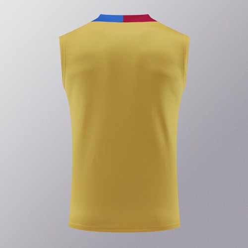 2024-2025 Barcelona Gold Soccer Training Vest Football Pre-match Shirt