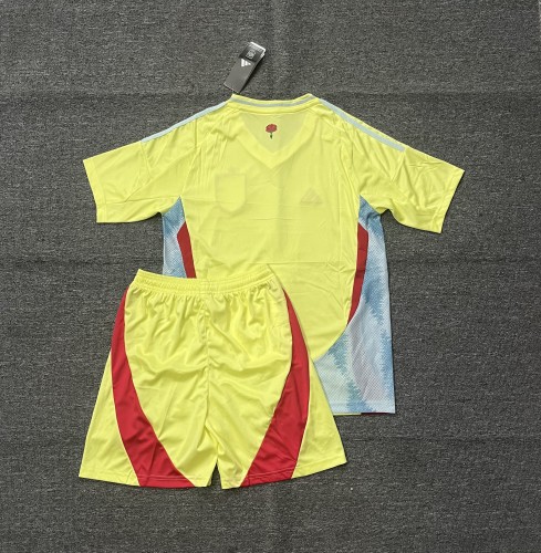 Adult Uniform Spain 2024 Away Soccer Jersey Shorts España Camisetas de Futbol Kit