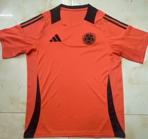 Fan Version Colombia 2024 Orange Soccer Training Jersey Camisetas de Futbol