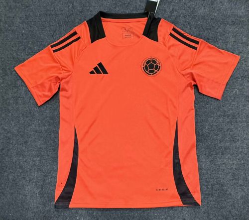 Fan Version Colombia 2024 Orange Soccer Training Jersey Camisetas de Futbol