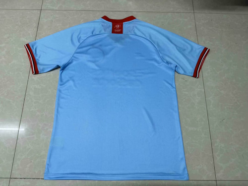 Fan Version 2024-2025 Bahia Blue Goalkeeper Soccer Jersey Football Shirt