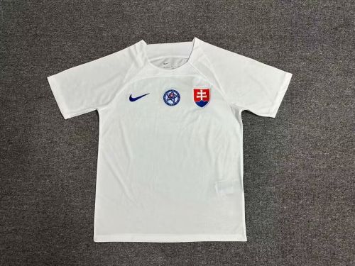 Fan Version 2024 Slovakia Away White Soccer Jersey Football Shirt