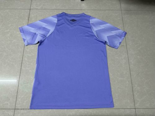 Fan Version 2024-2025 Fluminense Purple Goalkeeper Soccer Jersey Football Shirt