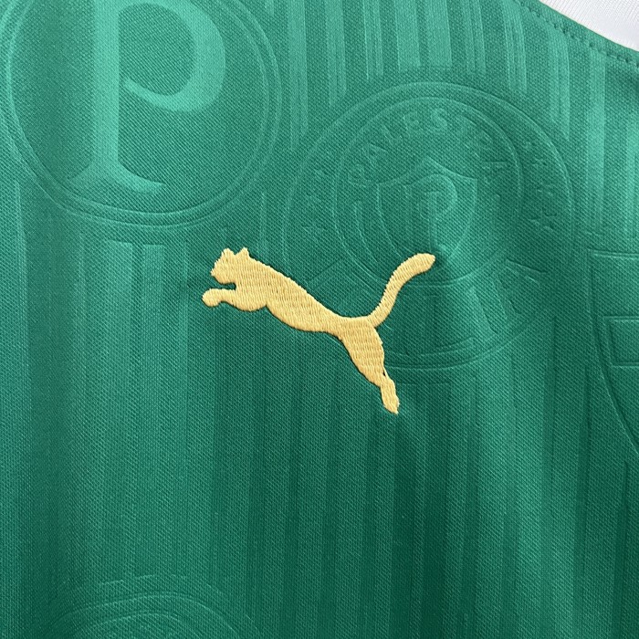 2024-2025 Palmeiras Green Soccer Training Vest