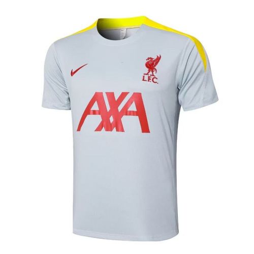 Fans Version 2024-2025 Liverpool Grey/Yellow Soccer Training Jersey Football Pre-match Shirt