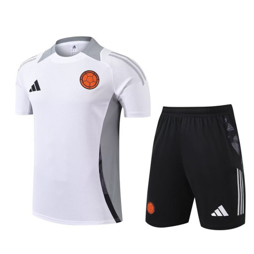 Adult Uniform 2024 Colombia White/Grey Soccer Training Jersey and Shorts Football Kits