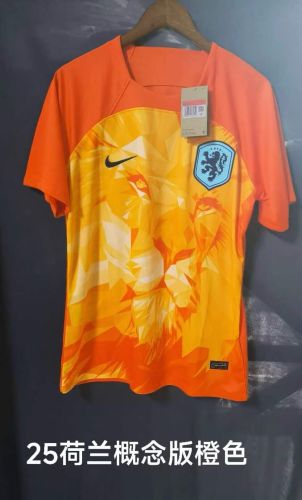 Fans Version 2024 Netherlands Orange Concept Version Soccer Training Jersey Holland Football Pre-match Shirt
