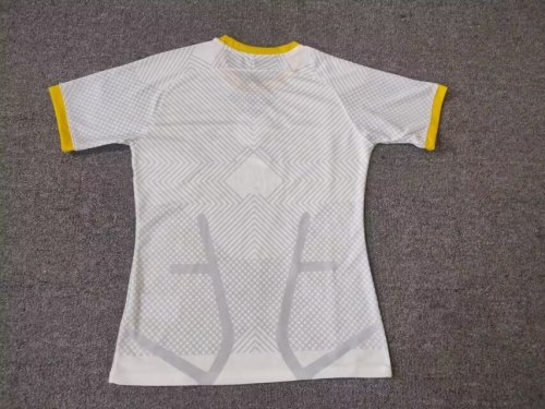 Fan Version 2023-2024 Inter Milan White/Yellow/Green Special Edition Football Shirt Inter Soccer Jersey